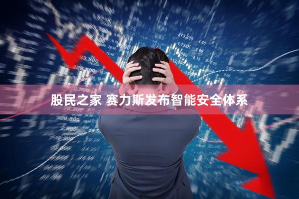 股民之家 赛力斯发布智能安全体系
