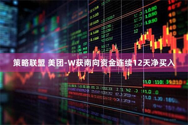 策略联盟 美团-W获南向资金连续12天净买入