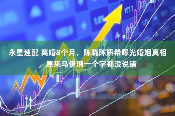 永星速配 离婚8个月，陈晓陈妍希曝光婚姻真相，原来马伊琍一个字都没说错