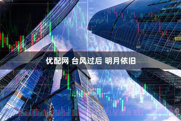 优配网 台风过后 明月依旧