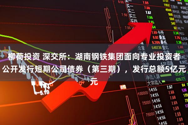 柳荷投资 深交所：湖南钢铁集团面向专业投资者公开发行短期公司债券（第三期），发行总额5亿元