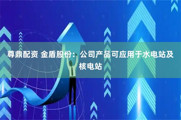 尊鼎配资 金盾股份：公司产品可应用于水电站及核电站
